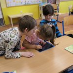 phoca_thumb_m_veverky ve kole 15 Fotogalerie